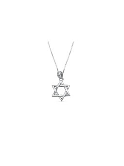 תליון כסף מגן דוד גדול קלוע, כסף סטרלינג משפחתי Ne